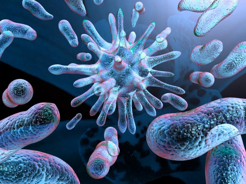 Невідома бактерія викликає хворобу Лайма