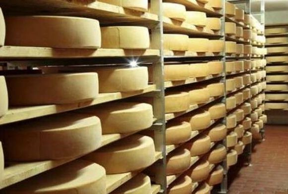 Що таке «сирний продукт»? Що таке «сирний продукт»?