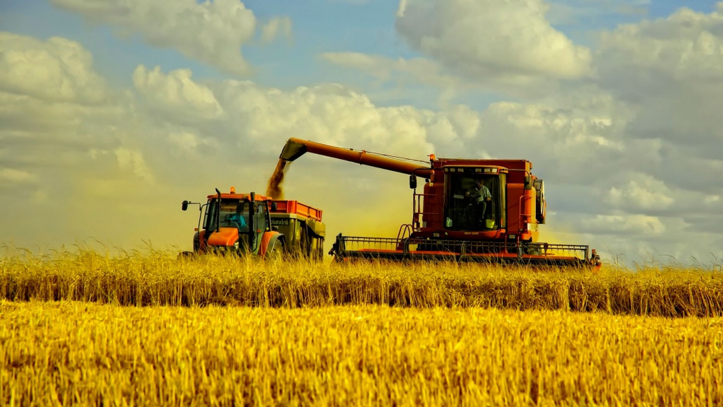 Український експорт: зерно й олія замість металу